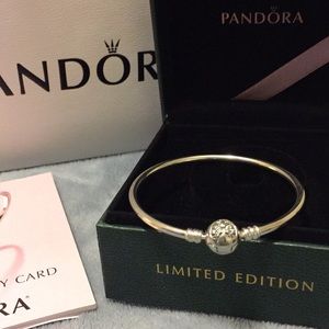 Brand new Pandora bracelet